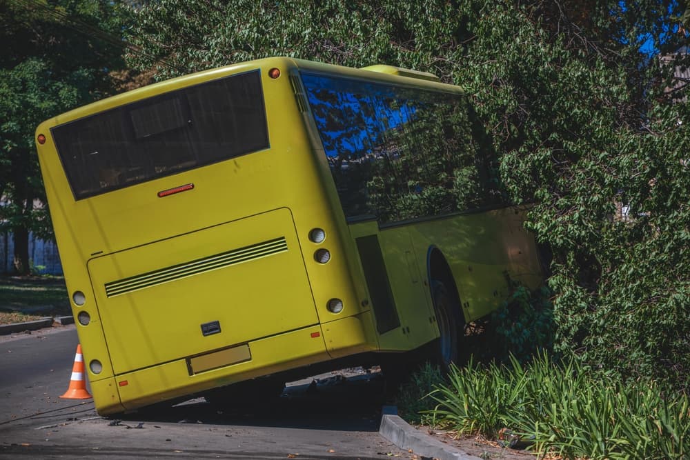 The bus flew off the road and crashed into a tree.